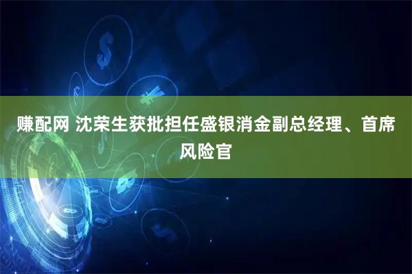 赚配网 沈荣生获批担任盛银消金副总经理、首席风险官